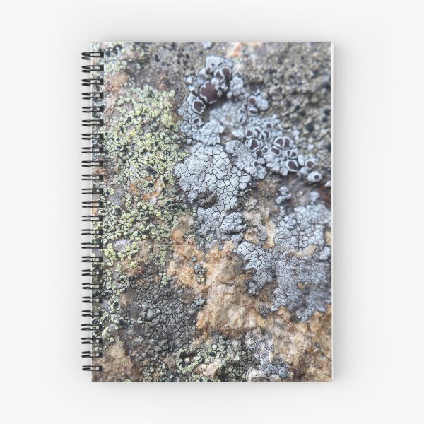 Item preview, Green and Grey Lichen on Rock designed and sold by Sinemathk.