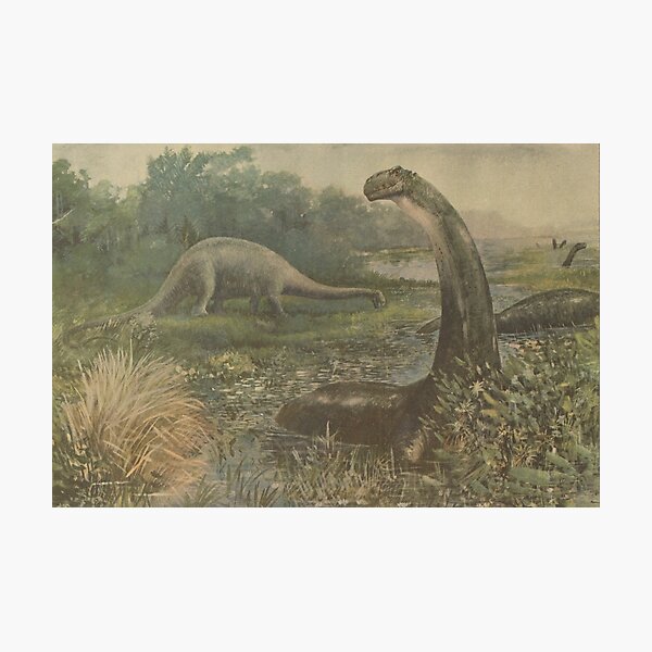 Artikel-Vorschau von Vintage Dinosaurier-Paläoart - Brontosaurus und Diplodocus, designt und verkauft von softbluehum.