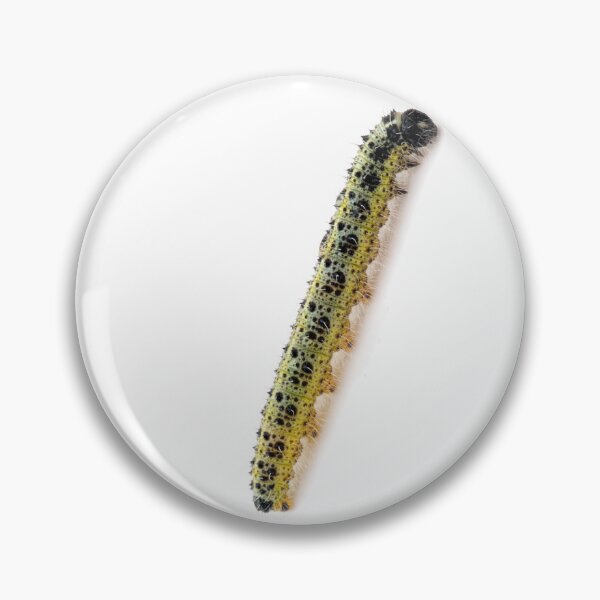 Item preview, Climbing Caterpillar  designed and sold by silviaol.