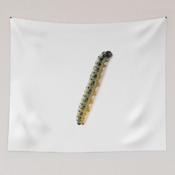 Item preview, Climbing Caterpillar  designed and sold by silviaol.