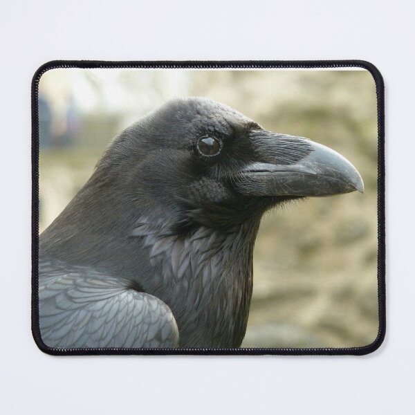 Item preview, Royal Ravens designed and sold by Mmark94.