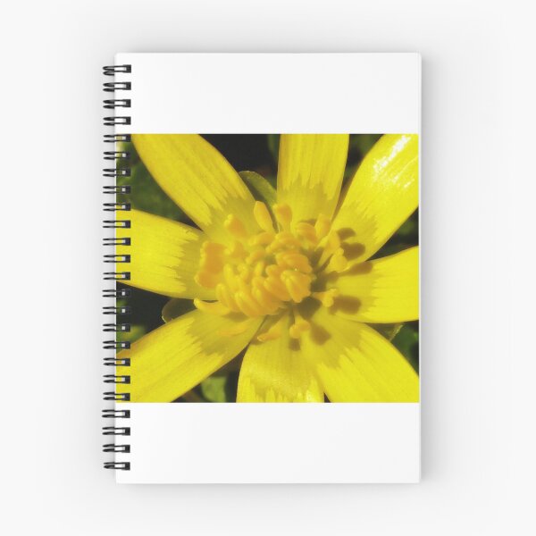 Artikelvorschau, Gelbe Blume entworfen und verkauft von Mmark94.