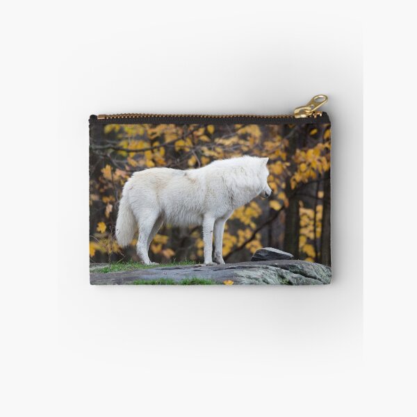 Item preview, Arctic Wolf - Parc Omega, Quebec designed and sold by Josef Pittner.