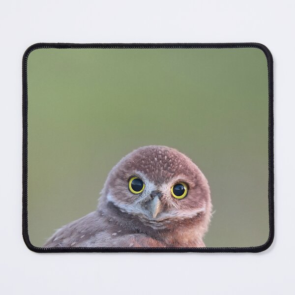 Item preview, Burrowing Owlet designed and sold by mlorenz.