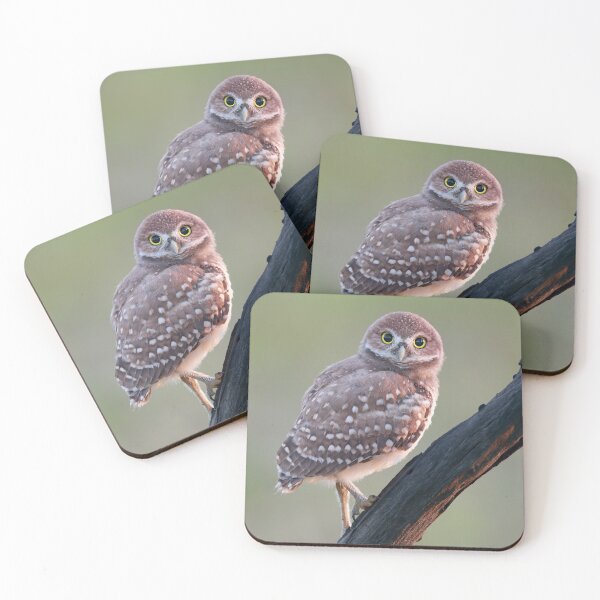 Item preview, Burrowing Owlet designed and sold by mlorenz.