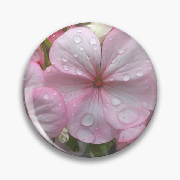 Item preview, Raindrops on Pink and White Geraniums designed and sold by Sinemathk.