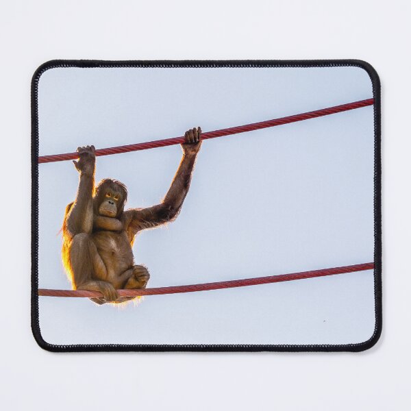Item preview, On the Wire designed and sold by Alex Tonetti Photography.