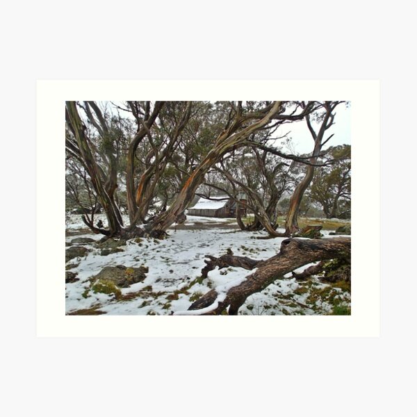 Wallace's Hut - Snow Art Print