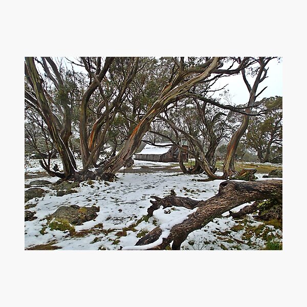 Item preview, Wallace's Hut - Snow designed and sold by jessfleming.
