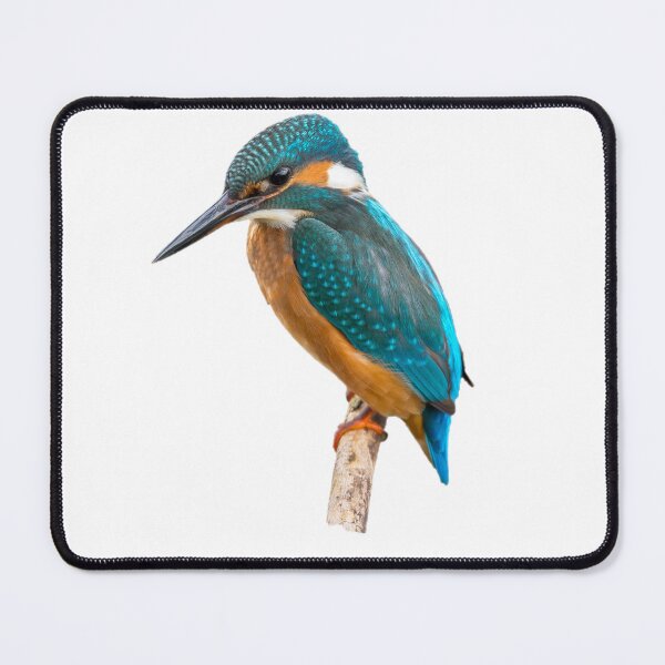 Item preview, Blue Kingfisher Standing designed and sold by Symmba.