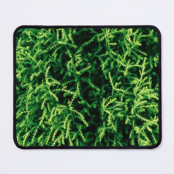 Item preview, Lush Forest designed and sold by Alex Tonetti Photography.