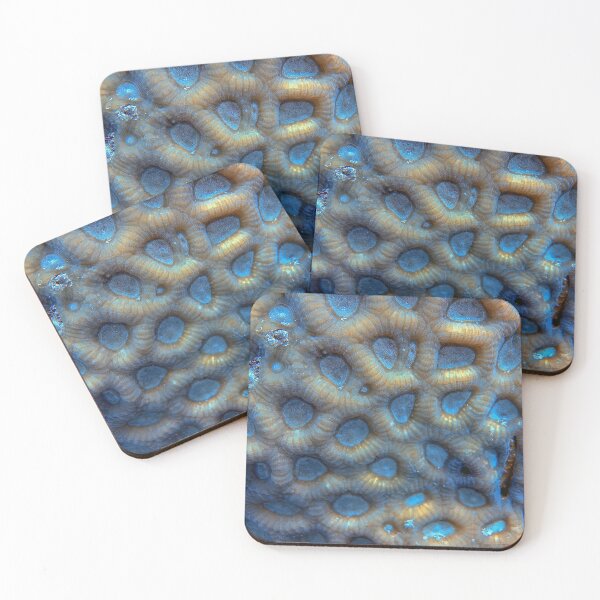 Item preview, Acanthastrea Echinata designed and sold by likbatonboot.
