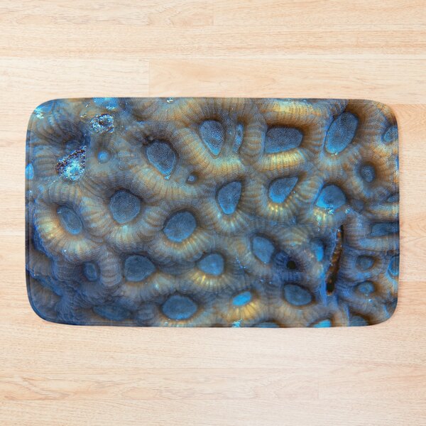 Item preview, Acanthastrea Echinata designed and sold by likbatonboot.