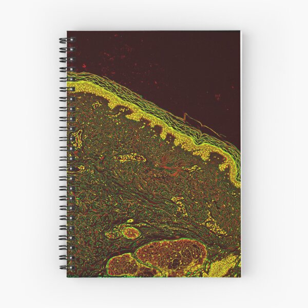 Item preview, Skin Composite  designed and sold by HeartstringArt.