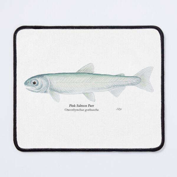 Item preview, Pink Salmon Parr designed and sold by Stephen Emms.