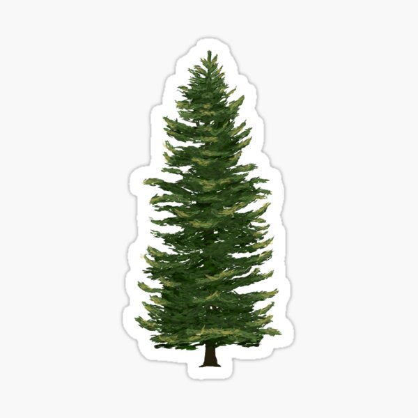 Pine Tree Stickers for Sale