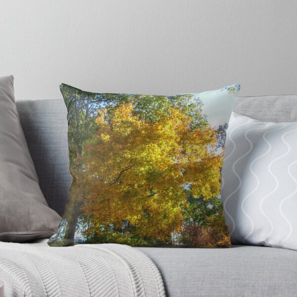 Item preview, Brilliant Colors in Kingsland Pointe Park, Sleepy Hollow NY designed and sold by Jane Neill-Hancock.