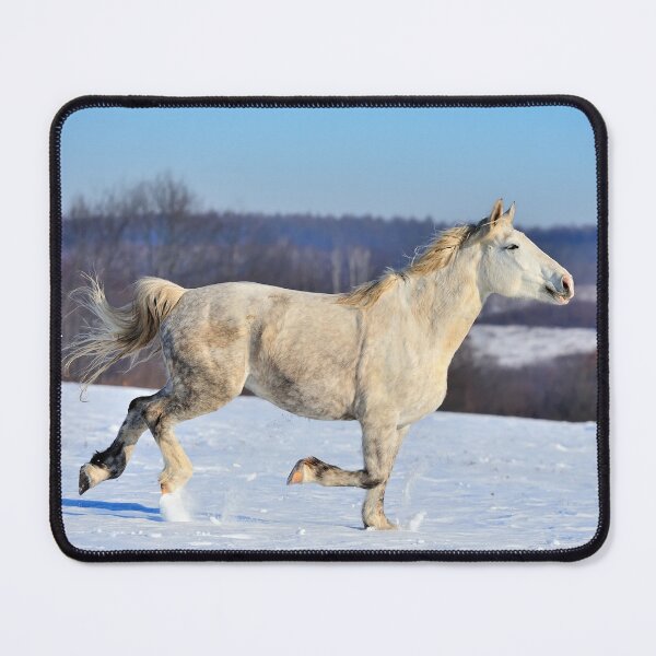Item preview, White Horse Poster designed and sold by AnimalLover4eva.