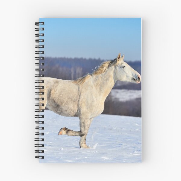 Item preview, White Horse Poster designed and sold by AnimalLover4eva.