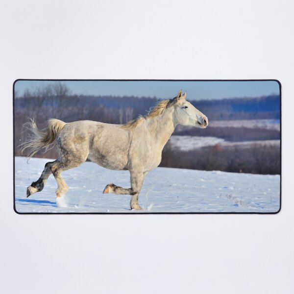 Item preview, White Horse Poster designed and sold by AnimalLover4eva.