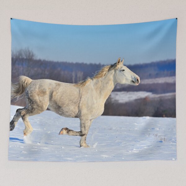Item preview, White Horse Poster designed and sold by AnimalLover4eva.