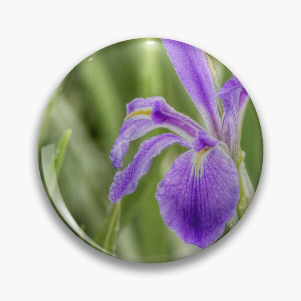 Item preview, Condolences designed and sold by Texas Enfocus Photography.