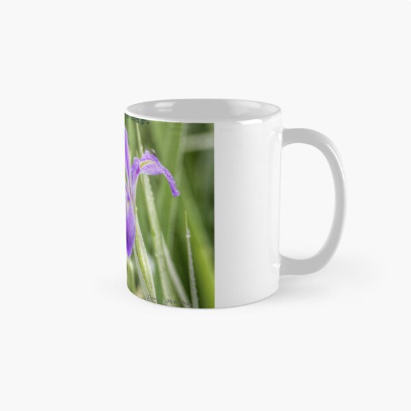 Item preview, Condolences designed and sold by Texas Enfocus Photography.