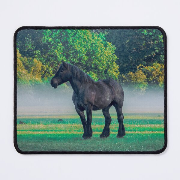 Item preview, Black Horse In Foggy Meadow designed and sold by AnimalLover4eva.