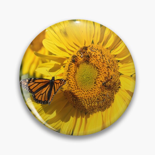 Item preview, Sunflower with Bees and Butterfly designed and sold by Rainbow Farm Photography.