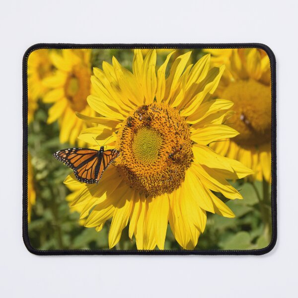 Item preview, Sunflower with Bees and Butterfly designed and sold by Rainbow Farm Photography.