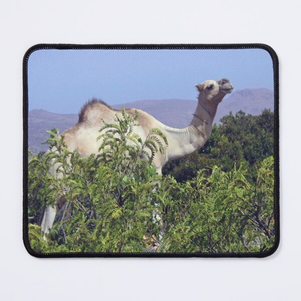 Item preview, Camel in Almadow forest designed and sold by VintageSomalia.