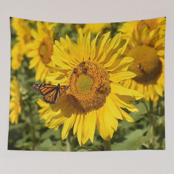 Item preview, Sunflower with Bees and Butterfly designed and sold by Rainbow Farm Photography.