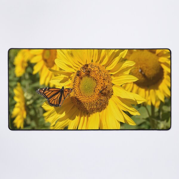 Item preview, Sunflower with Bees and Butterfly designed and sold by Rainbow Farm Photography.