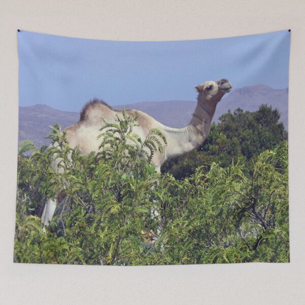 Item preview, Camel in Almadow forest designed and sold by VintageSomalia.
