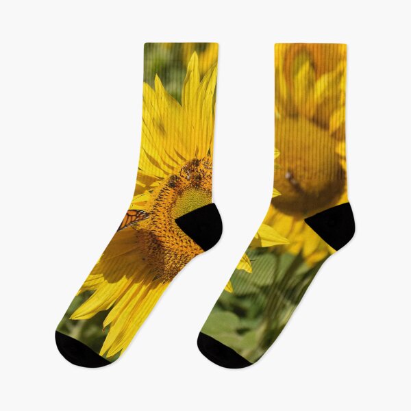 Item preview, Sunflower with Bees and Butterfly designed and sold by Rainbow Farm Photography.