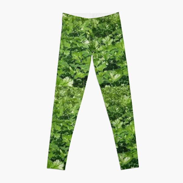 BOOKISH LOGO BAND CARGO PANT MILITARY BL in green