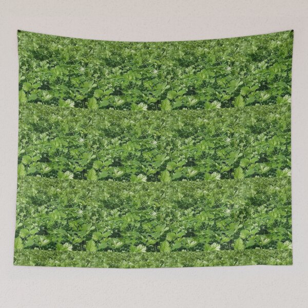 Item preview, Coriander designed and sold by Saiamrita123.