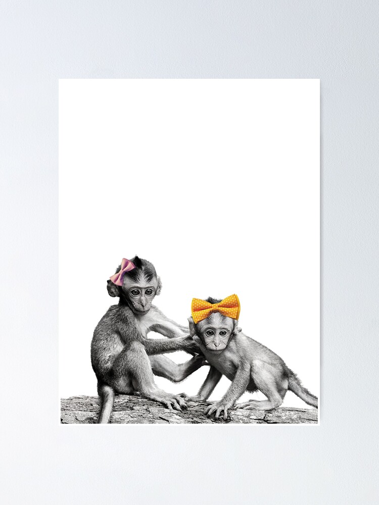 Baby Monkey, Posters, Art Prints, Wall Murals