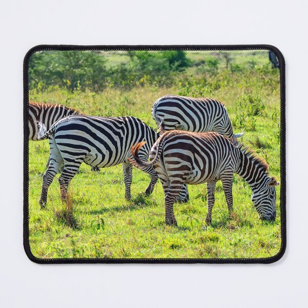 Item preview, Zebras In Africa designed and sold by AnimalLover4eva.