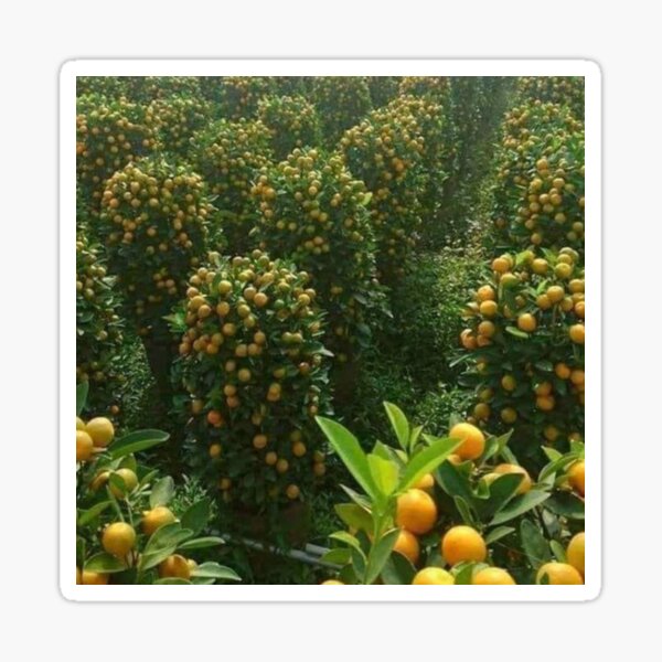 Item preview, Orchard plantation designed and sold by Saiamrita123.