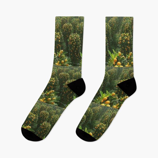 Item preview, Orchard plantation designed and sold by Saiamrita123.