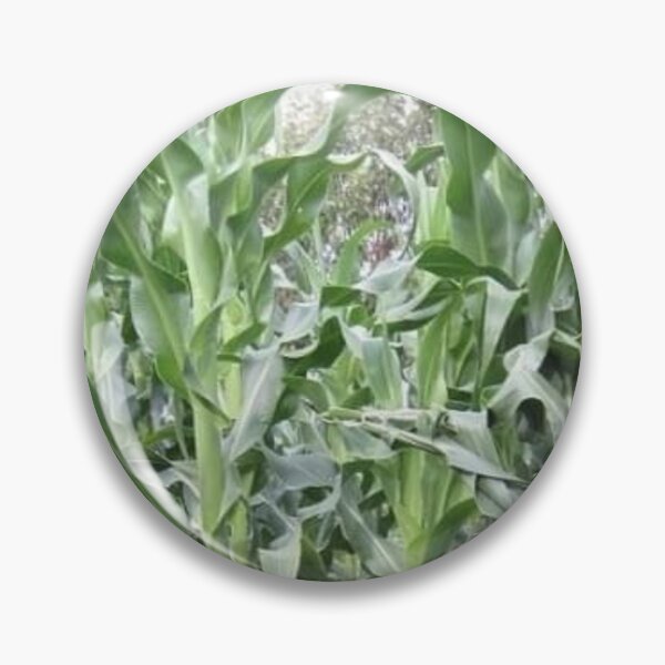 Item preview, Maize plant designed and sold by Saiamrita123.