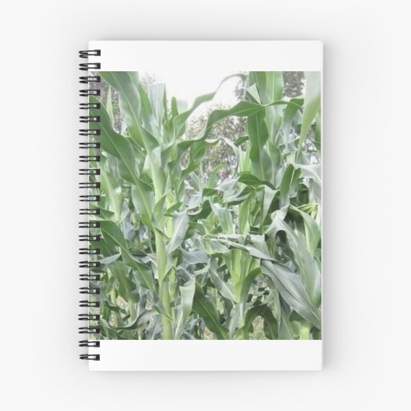 Item preview, Maize plant designed and sold by Saiamrita123.