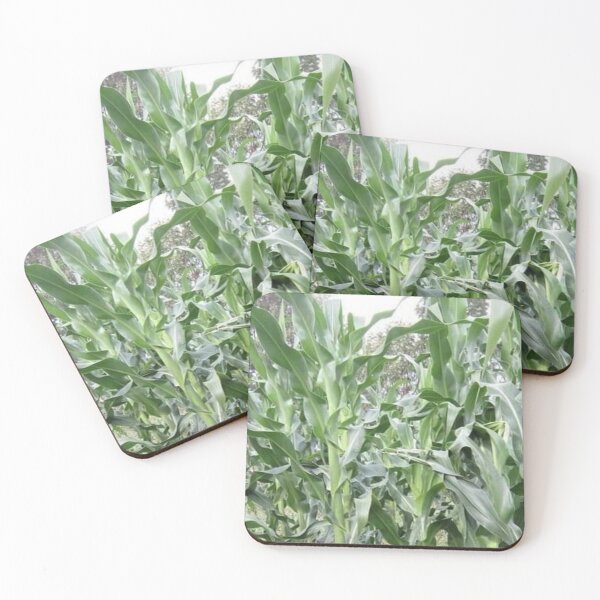 Item preview, Maize plant designed and sold by Saiamrita123.