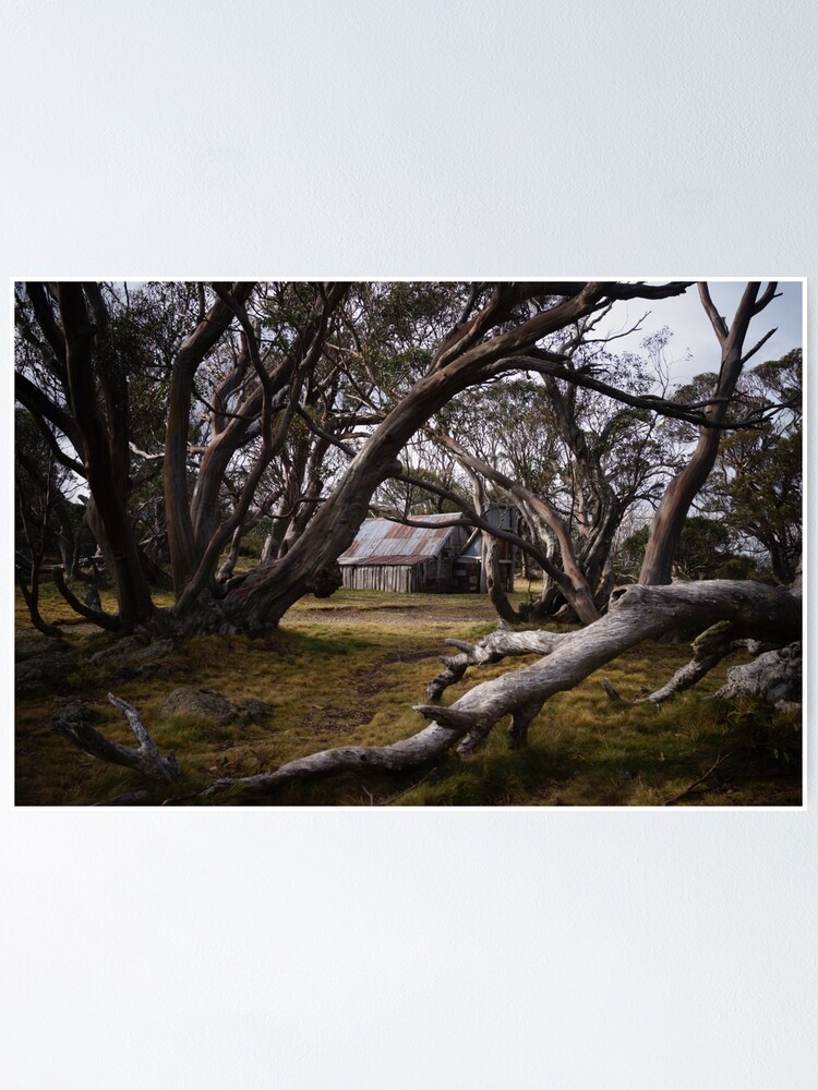 Thumbnail 1 of 3, Poster, Wallace's Hut designed and sold by jessfleming.