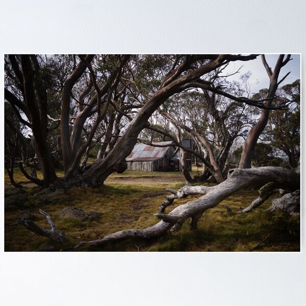 Item preview, Wallace's Hut  designed and sold by jessfleming.