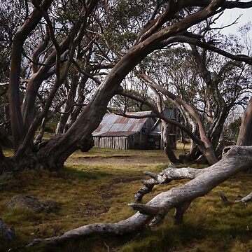Artwork thumbnail, Wallace's Hut by jessfleming