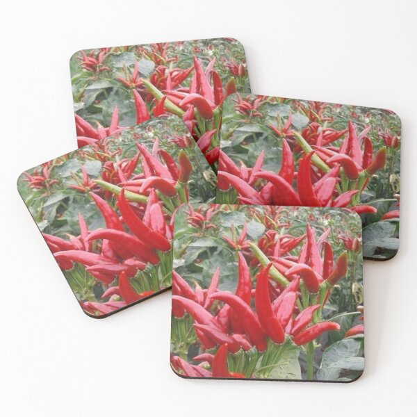 Item preview, Chilli designed and sold by Saiamrita123.