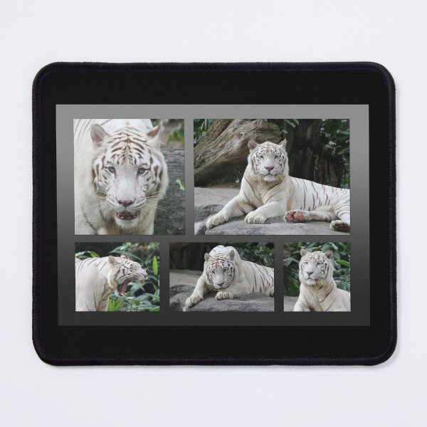 Item preview, White Tiger Collection #1 designed and sold by LeanneAllen.