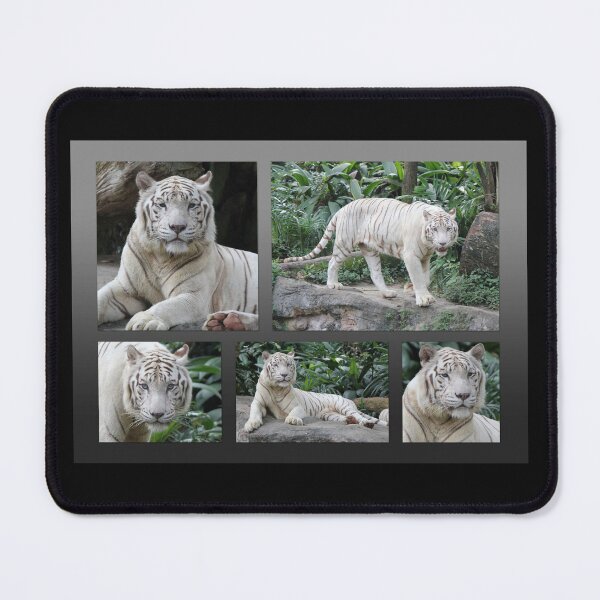 Item preview, White Tiger Collection #2 designed and sold by LeanneAllen.